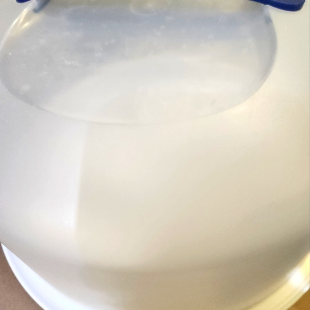 📦 MOVING SALE: Cake Carrier